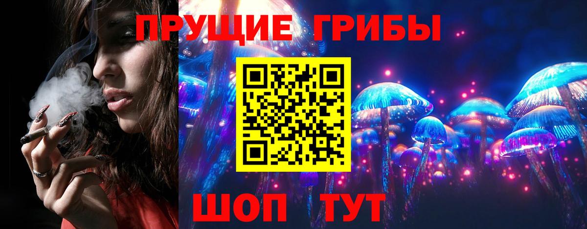 Псилоцибиновые грибы прущие грибы  Галлюциногенные грибы Psilocybine cubensis  Вход с VPN  Сальск 