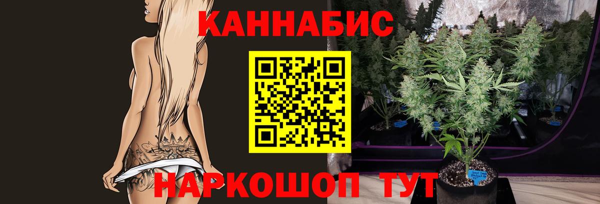 МАРИХУАНА план Сальск